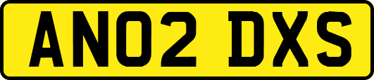 AN02DXS
