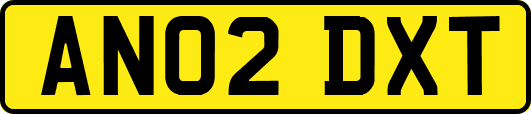 AN02DXT