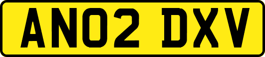 AN02DXV