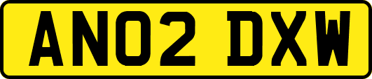 AN02DXW