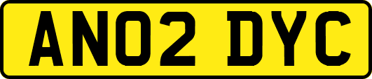 AN02DYC