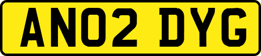 AN02DYG