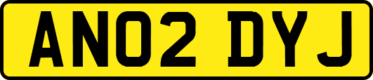 AN02DYJ