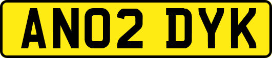 AN02DYK