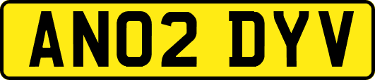 AN02DYV