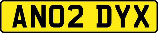 AN02DYX