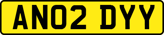 AN02DYY