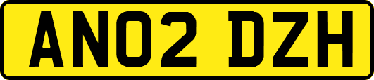 AN02DZH