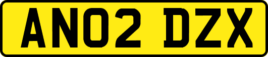 AN02DZX