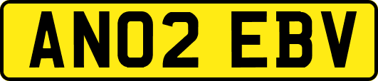 AN02EBV