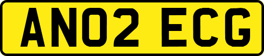 AN02ECG