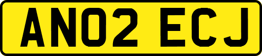 AN02ECJ