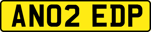 AN02EDP
