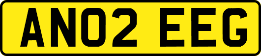 AN02EEG