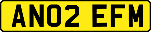 AN02EFM
