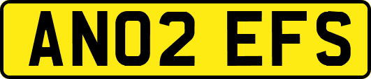 AN02EFS