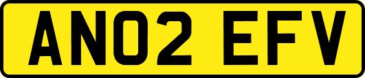AN02EFV