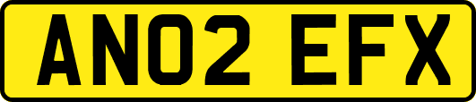 AN02EFX