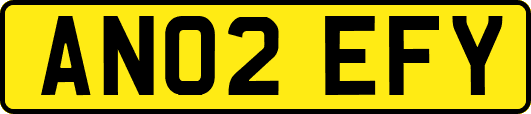 AN02EFY