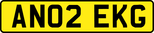 AN02EKG