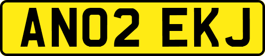 AN02EKJ
