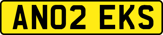 AN02EKS