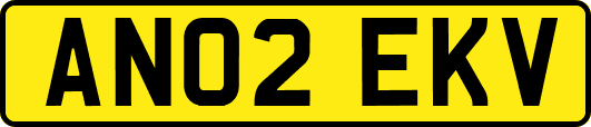 AN02EKV