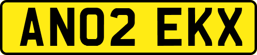 AN02EKX