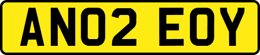 AN02EOY