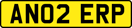 AN02ERP