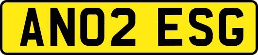 AN02ESG