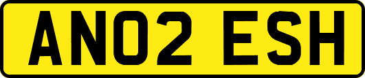 AN02ESH