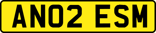 AN02ESM
