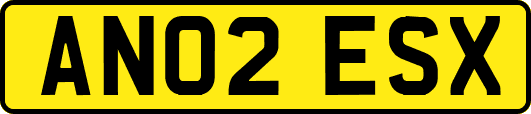 AN02ESX