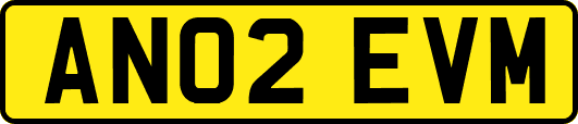 AN02EVM