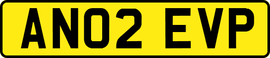 AN02EVP
