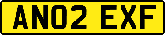 AN02EXF