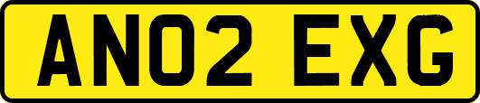 AN02EXG