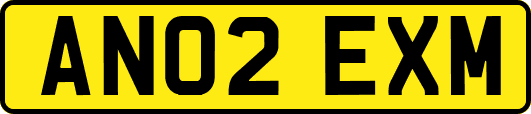 AN02EXM