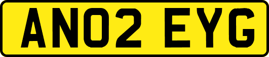 AN02EYG