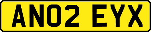 AN02EYX