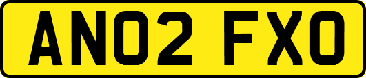 AN02FXO