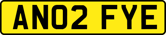 AN02FYE