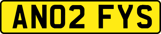 AN02FYS