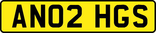 AN02HGS
