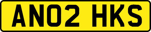 AN02HKS