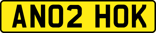 AN02HOK