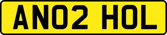AN02HOL