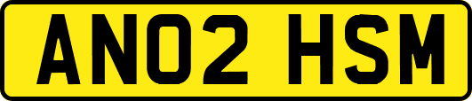 AN02HSM