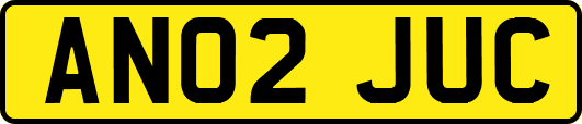 AN02JUC